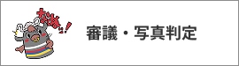 バナーリンク 審議・写真判定
